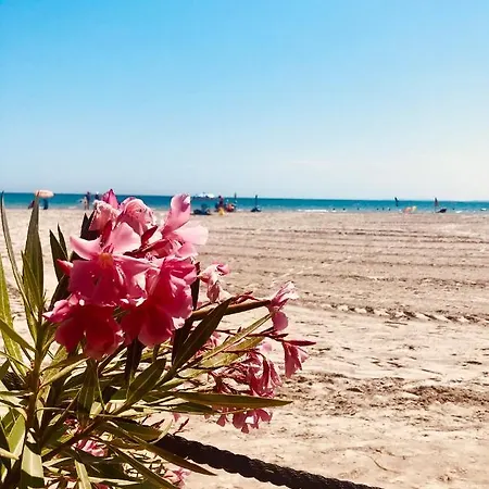 Apartment Welcome & Bienvenido A A 30 Metros De La Gran Playa *